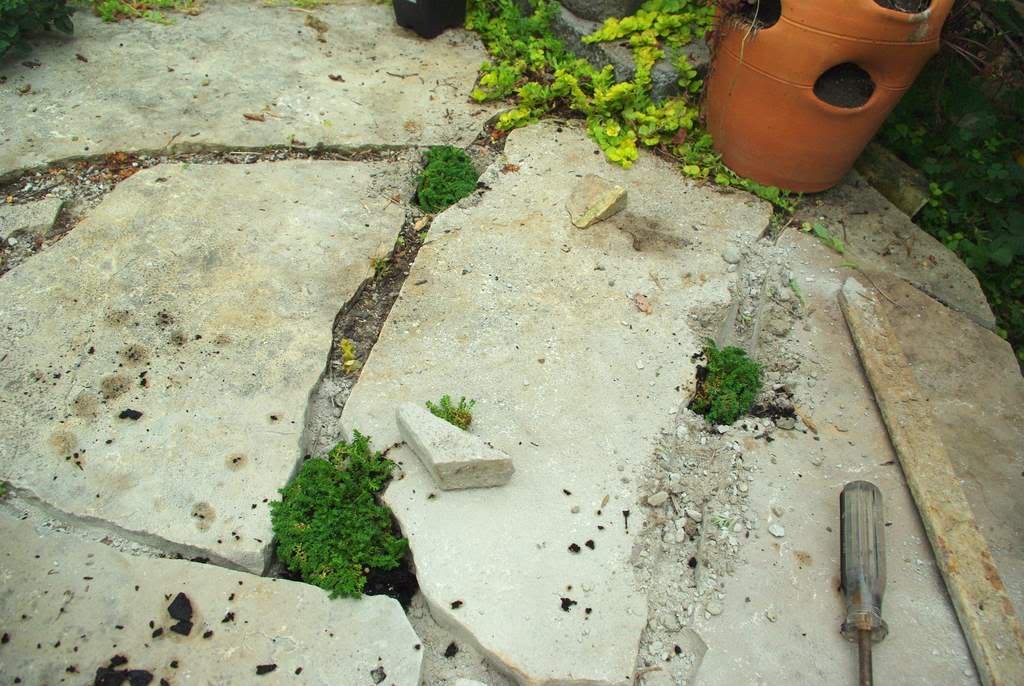 It's Not Work, It's Gardening! Filling flagstone patio cracks